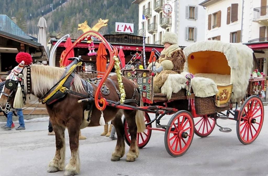 Les compléments alimentaires pour chevaux ?